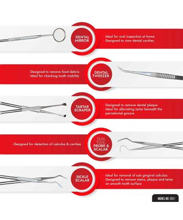 6pc Stainless Steel Dental Tools Kit: Plaque & Tartar Remover Set with Mirror Picks - Teeth Cleaning & Polishing Set - Buy Online on GoSupps.com
