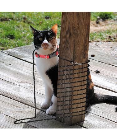 Extra Long Cat Lead for Garden 4.5M/15FT Lightweight Outdoor Cat Leash Long Light Extension Long Thin Lead for Rabbits Kitten Puppy and Small Animals - Buy Online on GoSupps.com