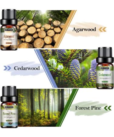 Hyppry Woody Essential Oils Set - 6x10ml Premium Natural Aromatherapy Oils for Diffuser & Home Fragrance - Sandalwood, Cedarwood, Cypress, Pine, Teakwood, Agarwood - Buy Online on GoSupps.com