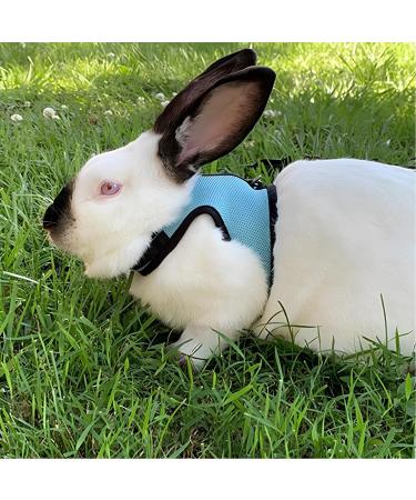 Adjustable Soft Rabbit Dishes Set - 2 Breathable Small Animal Dishes with Leash for Outdoor Use | Perfect for Rabbits Hares Hamsters & Cats - Buy Online on GoSupps.com