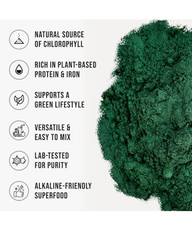 Organic Chlorella Powder, 22 oz, Raw, Premium Superfood Rich in Vegan Protein & Chlorophyll, Non-GMO, Vegan-Friendly Supplement, 312 Servings - Buy Online on GoSupps.com