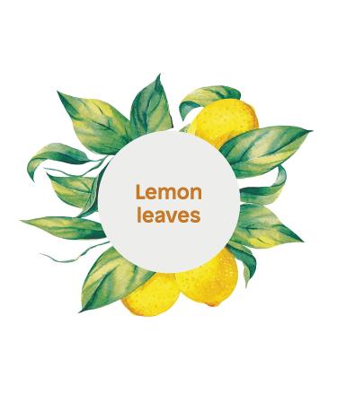 ATTITUDE Lemon Leaves Liquid Hand Soap - Plant-Based, Vegan & Cruelty-Free - 16 Fl Oz - Buy Online on GoSupps.com