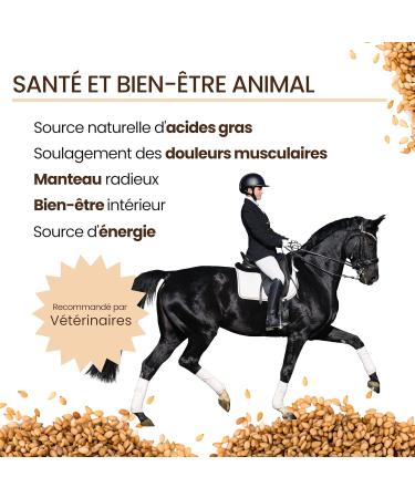 VET Flaxseed Oil Animal Food | Digestion Heart Blood Vessels | Omega 3-6-9 Vitamins A-D-E-K | Subst - Buy Online on GoSupps.com