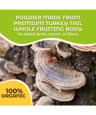 Hongo Mushroom Power - Turkey Tail Mushroom Powder - Pure Fruiting Body No Grains No FIllers 60g Pouch - Buy Online on GoSupps.com