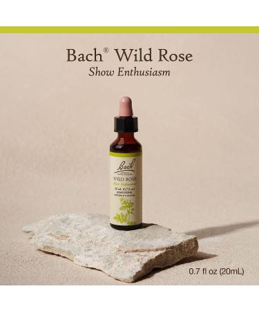 Bach Wild Rose Flower Remedy 20mL Dropper - Natural Holistic Stress Relief | Vegan Formula - Buy Online on GoSupps.com