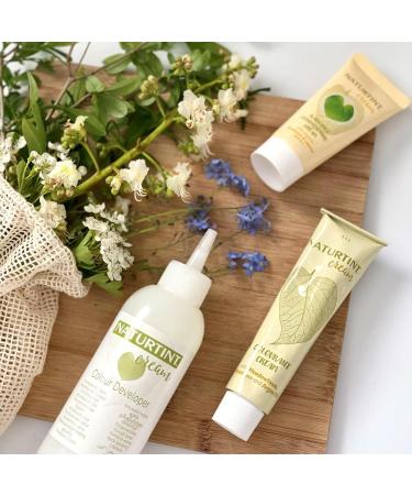 Naturtint Coloration permanente 1N noir b ne Noir b ne 1N 155 ml (Pack of 1) - Buy Online on GoSupps.com