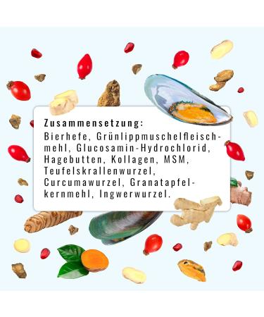 Sollis Joint Powder for Dogs - Green-Lipped Mussel MSM Devil's Claw Glucosamine & Collagen | 300g Mobility Supplement for Optimal Canine Health - Buy Online on GoSupps.com