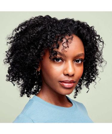 DevaCurl Wash Day Wonder Detangler | Time-Saving Tangle Release Complex | 12 fl oz | No Buildup Formula for Effortless Hair Care - Buy Online on GoSupps.com
