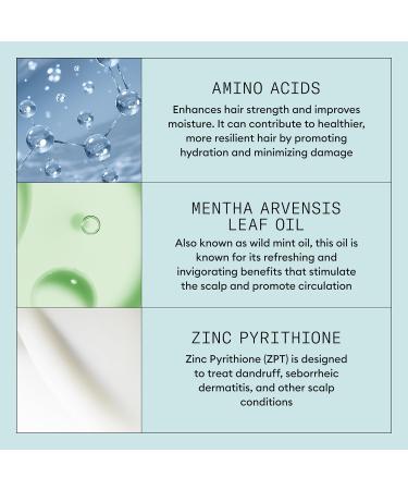 Nioxin Scalp Recovery Anti-Dandruff Conditioner Kit - 6.7 fl oz | International Shipping Available - Buy Online on GoSupps.com