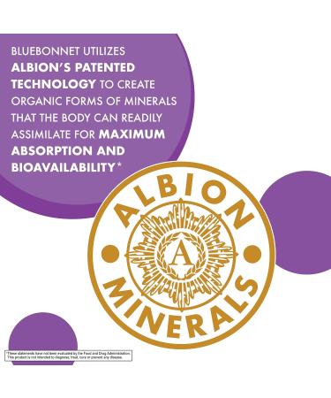 Bluebonnet Nutrition Magnesium Malate Vegetable Capsules - Supports Energy Muscle & Joint Health - Non-GMO Vegan Kosher Certified Gluten-Free 90 Count 90 Count (Pack of 1) - Buy Online on GoSupps.com