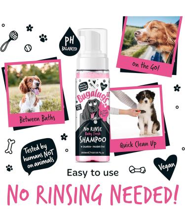 Bugalugs No Rinse Baby Powder Dog Shampoo Dog coat Dry shampoo quick dog bath for dogs for itchy dog skin relief. Puppy Professional groom baby powder dog spray foam Baby Fresh 200ml - Buy Online on GoSupps.com