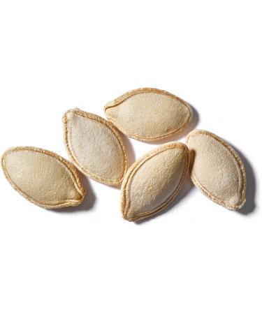 Yupik Semi-Salted Pumpkin Seeds in Shell 185 g Kosher Gluten-Free Seeds With Sea Salt Healthy Snacks Rich in Fiber - Buy Online on GoSupps.com