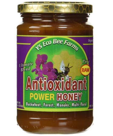 Y.S. Eco Bee Farms Antioxidant Power Honey 13.5 oz (383 g)