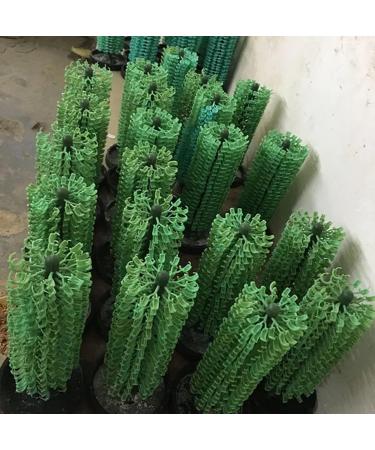 Wax Line, Wire, and Sprue Wax for Jewelry & Dental Casting Mould - 3 Packs in 1 Bottle - 0.8-7.0 mm Wax Moulding - (3 Bags) - Buy Online on GoSupps.com