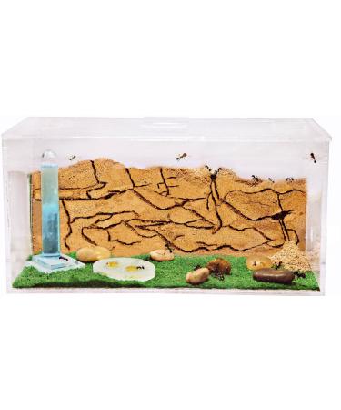 Water Mineral Font nature 1.5l (Includes 0.32 door supplement)