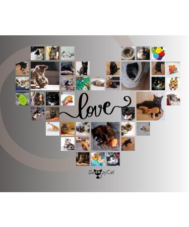 Snoozycat Refillable Catnip - 2pc Handmade Cotton Pads with 100% Organic Catnip - Washable & Refillable Cat Toys - Buy Online on GoSupps.com