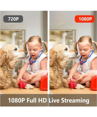 LaView 1080P Indoor Home Security Camera 4-Pack with Motion Detection, Two-Way Audio, Night Vision, and Alexa Compatibility - Buy Online on GoSupps.com