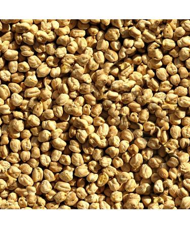 Chickpeas Garbanzo Beans 2.5 kg (5.5 lb) Non-GMO Product of Canada Enjoy nutritious chickpeas grown by Canadian farmers as an excellent source of protein and a staple in vegan diets. - Buy Online on GoSupps.com