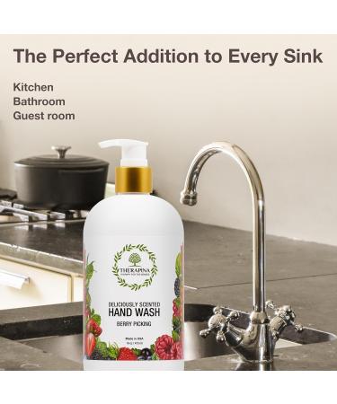 Aromatherapy Luxury Liquid Hand Soap - Vegan & Moisturizing with Aloe Vera & Botanical Oils | Berry Scent | 16 Oz for Bathroom & Kitchen - Buy Online on GoSupps.com