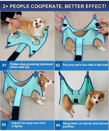 Buy Kkiimatt Pet Care Hammock for Small Dogs - Dog Hinge Trim with Nail Clipper & Hooking Mat (XX-Small 3.5kg Max Turquoise) - International Shipping Available - Buy Online on GoSupps.com