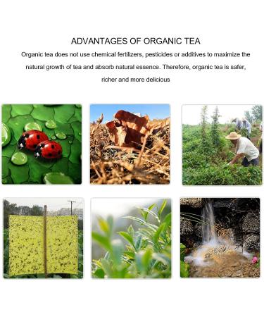 Green Tea Biluochun Tea Small Packages Strong Fragrance Fruity Jiangsu Chinese Green Tea with Gift Box for Guests Receiving - Buy Online on GoSupps.com