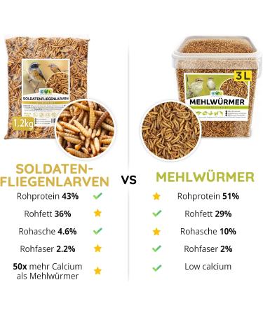 Buy EWL Natural Dried Soldier Fly Larvae - 1.2 kg | Premium Bird Fish Turtle & Hedgehog Feed | 7.8 Liters - Buy Online on GoSupps.com