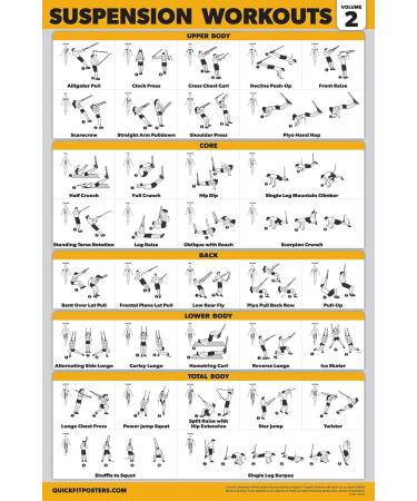 16-Piece Exercise Training Poster Set | Dumbbell Suspension Yoga & More | 18x24 Inch | Ships Internationally - Buy Online on GoSupps.com