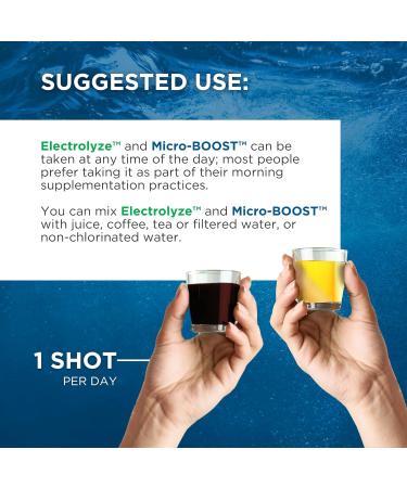 BEAM MINERALS Travel Pack | Electrolyte & Micronutrient Support On-The-Go | Micro-Boost Electrolyze and Insta-Lytes 2 fl Oz - Buy Online on GoSupps.com