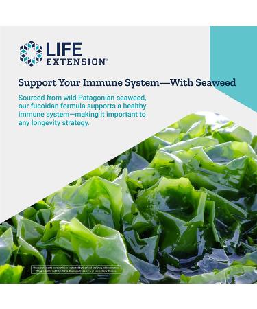 Buy Life Extension Optimized Fucoidan with Maritech 926 - 60 Vegetarian Capsules - Buy Online on GoSupps.com