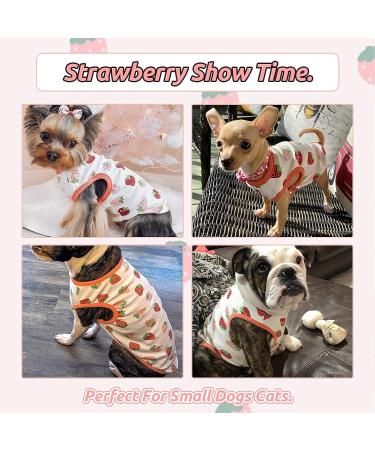 Small Dog Shirts 3 Pack - Cute Print Pet Tee for Small Dogs - Sleeveless Cotton Vest - XL Size - Spring/Summer Outfits - Chihuahua, Yorkie, Shih Tzu, Pomeranian - Strawberry, Monkey, Donut - Petcare Essentials - Buy Online on GoSupps.com