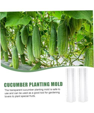 Toddmomy Horticulture 9 pcs Gardening Strawberry Ovens Cucumber Plastic Grow Heart Star Alien Modeling Fruit - Buy Online on GoSupps.com