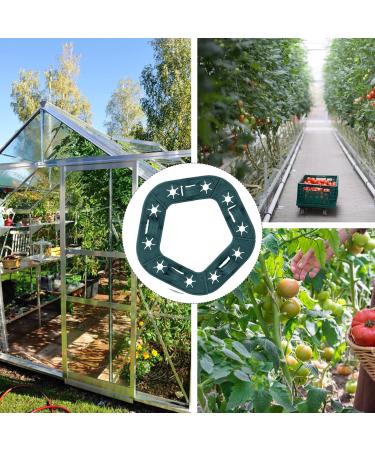 Yianyal Plant Stick Support Cap - 10-Hole Circle for Tomatoes & Plants | Stretchy Bamboo Pipe Holder - Buy Online on GoSupps.com