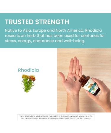 Himalaya Rhodiola for Energy & Stress Relief - 250 mg 60 Vegan Capsules Enhance Exercise Endurance - Buy Online on GoSupps.com