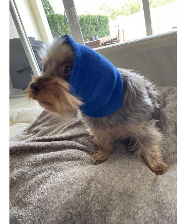 Pet Hoodz for Dogs - Calming Ear Protection & Fur Care | Small Blue Anxiety Relief & Compression Dog Hoodies - Buy Online on GoSupps.com