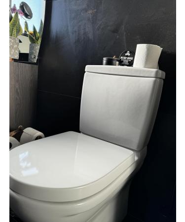 DUMP ZONE Toilet Freshening Powder Natural Ingredients Lemon Scent 2 x 100gm - Buy Online on GoSupps.com