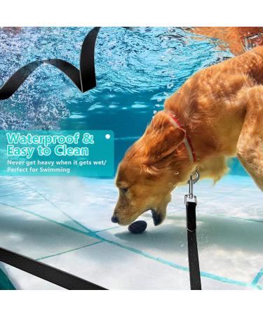 IOKHEIRA 10M Black Waterproof Dog Training Lead | Sturdy Hand Loop | for Large Medium Small Dogs - Buy Online on GoSupps.com