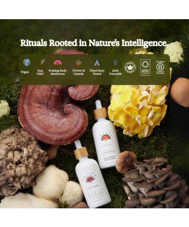 Rainbo - Chaga Mushroom Tincture - Dual Extract Mushroom Supplement - Immune Support Cellular Support Liquid Chaga Supplement Vegan Non GMO 3.4 fl oz Alcohol Based - Buy Online on GoSupps.com