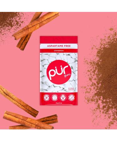 PUR Gum | Sugar-Free Vegan Chewing Gum with Xylitol | Gluten-Free & Diabetic-Friendly | Natural Cinnamon Flavor | 6-Pack (55 Pieces) - Buy Online on GoSupps.com
