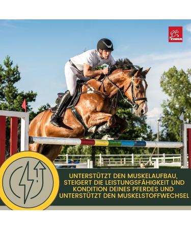 Rice Germ Oil Flax Oil 1L 30 ml for Horses Plus Vitamin E + Amino Acids Horse + Complex - Bodybuilding Horse Without Selenium Lysine Replenishing Food Supplement Horse Food - Buy Online on GoSupps.com