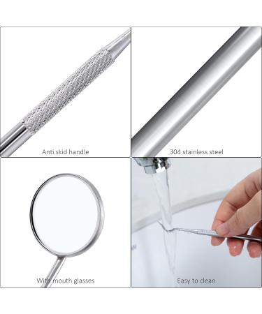 Tartar Remover Dog Tooth Cleaning Kit | Stainless Steel Dental Care Set | 5-Piece Tooth Cleaning Tool for Pets with Metal Case - Buy Online on GoSupps.com