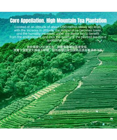 HQZM Pure Zhangping Shuixian Tea Green Tea Oolong Tea 125g * 2 Unique Square Flavored Tea Cakes - Buy Online on GoSupps.com