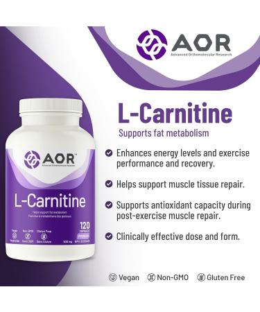 AOR - L-Carnitine 500mg 120 Capsules Pure L-Carnitine Tartrate Supports Energy Metabolism Muscle Recovery & Athletic Performance Promotes Fitness Goals L-Carnitine Capsules for Active Lifestyle - Buy Online on GoSupps.com