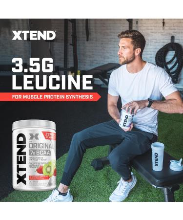 Scivation XTEND Original BCAA Powder | Sugar Free Post Workout Muscle Recovery Drink with Amino Acids | 7g BCAAs for Men & Women | 30 Servings Strawberry Kiwi Strawberry Kiwi 30 Servings (Pack of 1) - Buy Online on GoSupps.com