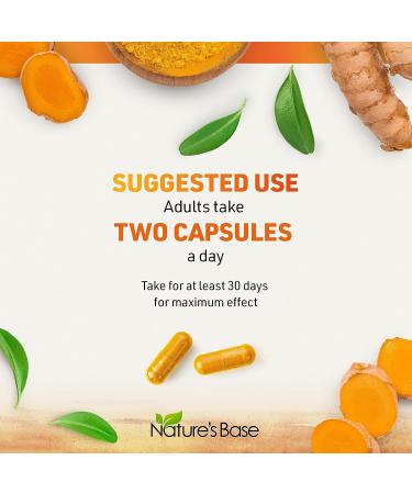 Turmeric Curcumin Supplement with Ginger, Apple Cider Vinegar & BioPerine - 120 Count, 95% Curcuminoids, Joint Support & Antioxidant - Capsules for Turmeric & Ginger - Pack of 1 - Buy Online on GoSupps.com