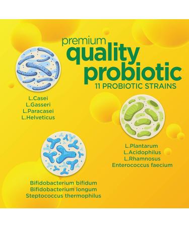 Daily Probiotic for Men & Women Slows Digestive Aging Boosts Immune System Reduces Bloating Non-GMO Gluten Free & Soy Free 10 Billion CFU 30 Capsules - Buy Online on GoSupps.com