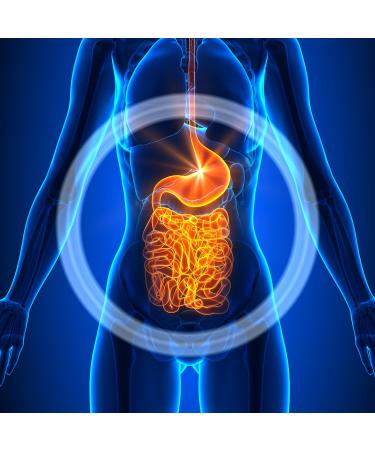 CardioTabs Advanced Probiotic w/ 50 Billion CFU Per Serving, Shelf Stable, Men's and Women's Probiotic Supplement to Stay Fit, 30 Capsules - Buy Online on GoSupps.com