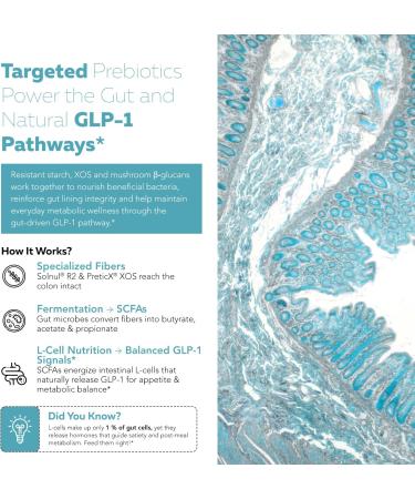GLP-Pre Optimized Prebiotic Fiber Complex - Gut-Microbiome Optimization for Natural GLP-1 Pathway Support & Metabolic Wellness - Includes Clinically Studied Non-Digestible Fibers - 30 Servings - Buy Online on GoSupps.com