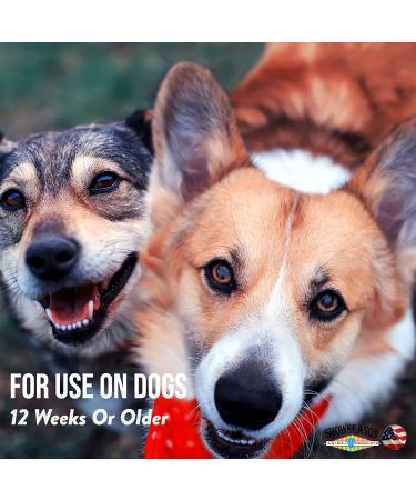 Pet Cologne for Dogs | Cinnamon Nice Bath & Brush Therapies 4.5 oz | Long-Lasting Odor Eliminator | Cruelty-Free, Paraben-Free, Biodegradable & Non-Toxic | Made in USA - Buy Online on GoSupps.com