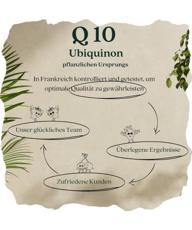 Coenzyme Q10 with Vitamin B1 | Ubiquinone Antioxidant & Energy Support | 100% Natural Vegetable Capsules | Eco-Friendly Recyclable Bottle - Buy Online on GoSupps.com