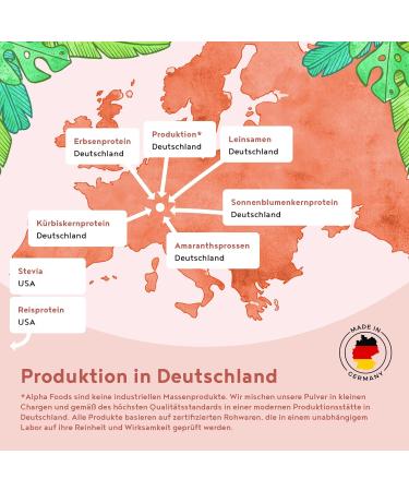 Vegan Strawberry Protein Powder - 600g | Plant-Based Rice Pea Chia & Seed Blend - International Shipping - Buy Online on GoSupps.com